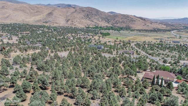 1520 Alba Vis Unit 48, Gardnerville, NV 89410 - photo 13