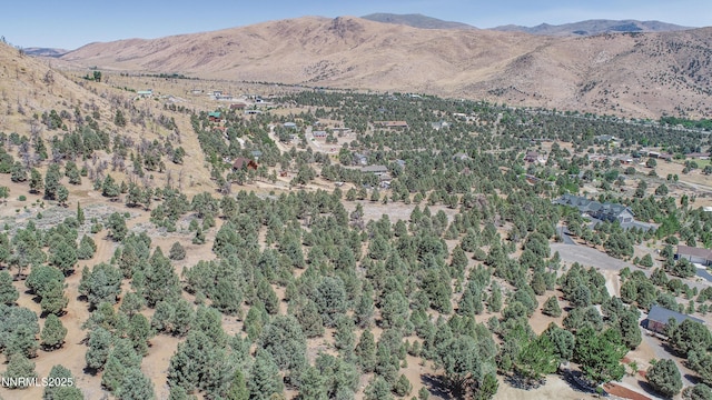 1520 Alba Vis Unit 48, Gardnerville, NV 89410 - photo 14