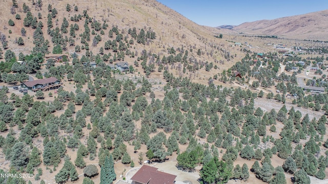 1520 Alba Vis Unit 48, Gardnerville, NV 89410 - photo 15