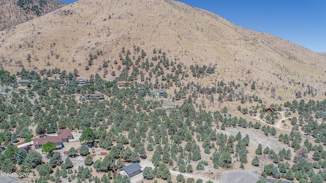 1520 Alba Vis Unit 48, Gardnerville, NV 89410 - photo 17