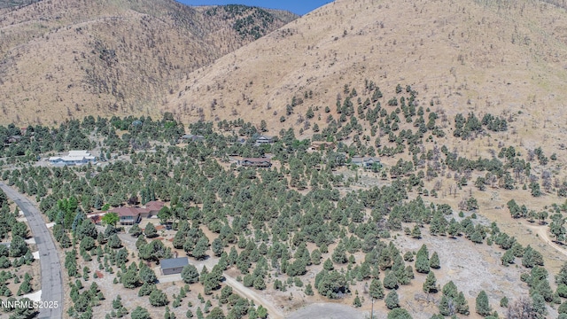 1520 Alba Vis Unit 48, Gardnerville, NV 89410 - photo 18