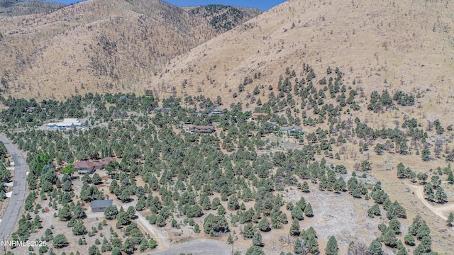 1520 Alba Vis Unit 48, Gardnerville, NV 89410 - photo 19