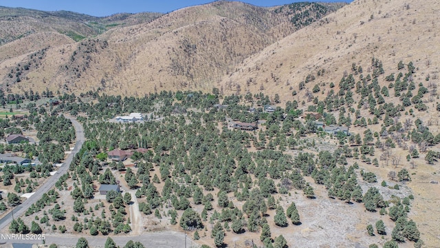 1520 Alba Vis Unit 48, Gardnerville, NV 89410 - photo 20