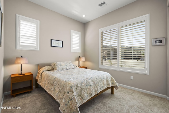 2701 Copper Flats Dr, Reno, NV 89521 - photo 23