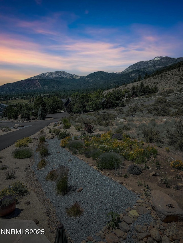 10025 Donalisha Ln, Reno, NV 89511 - photo 2