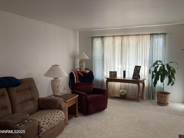 7956 White Falls Dr, Reno, NV 89506 - photo 6