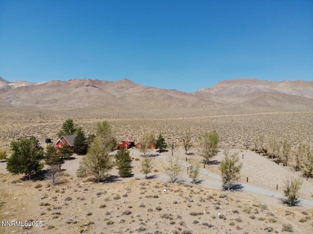 95 Locust Dr, Yerington, NV 89447 - photo 31