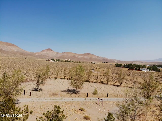 95 Locust Dr, Yerington, NV 89447 - photo 35