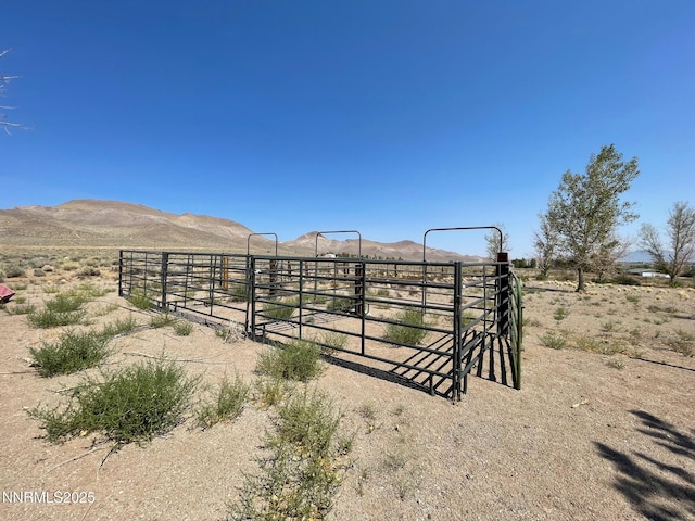 95 Locust Dr, Yerington, NV 89447 - photo 39