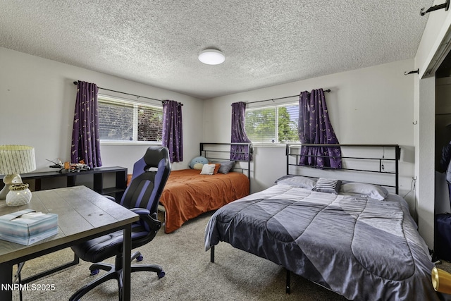 10690 Santa Fe Rd, Reno, NV 89508 - photo 9