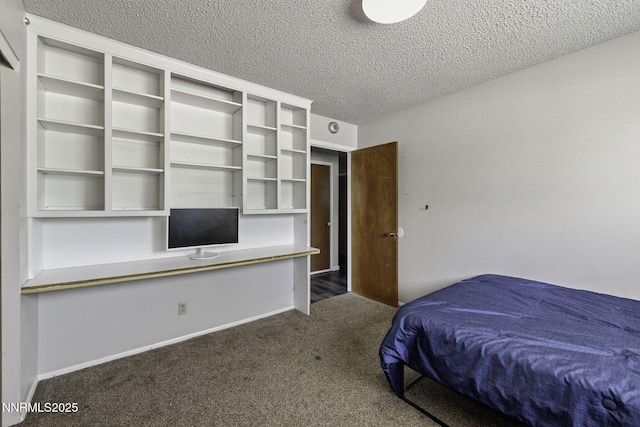 10690 Santa Fe Rd, Reno, NV 89508 - photo 13