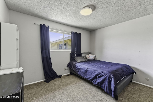 10690 Santa Fe Rd, Reno, NV 89508 - photo 14