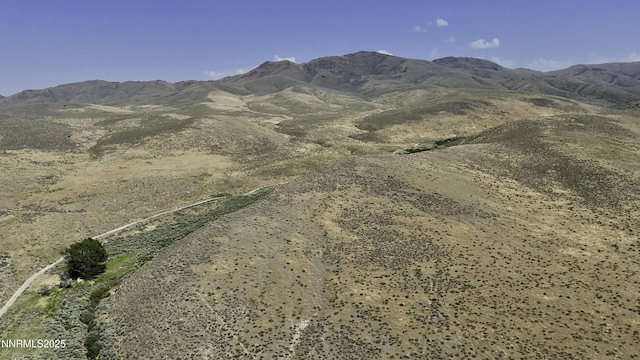 10-0149-02 Kluncy Canyon Rd, Winnemucca, NV 89445 - photo 4
