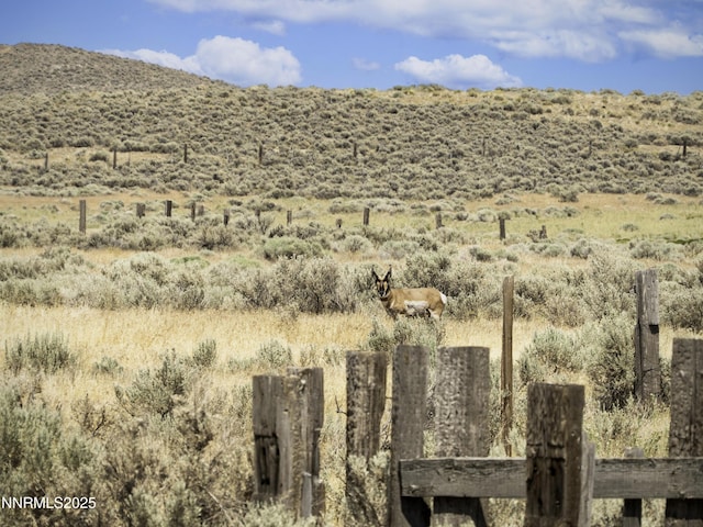 10-0149-02 Kluncy Canyon Rd, Winnemucca, NV 89445 - photo 7