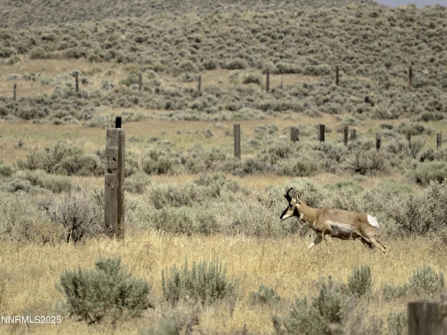 10-0149-02 Kluncy Canyon Rd, Winnemucca, NV 89445 - photo 8