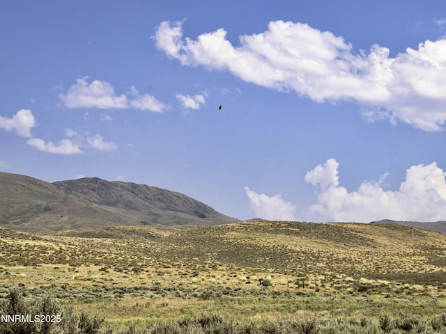 10-0149-02 Kluncy Canyon Rd, Winnemucca, NV 89445 - photo 9