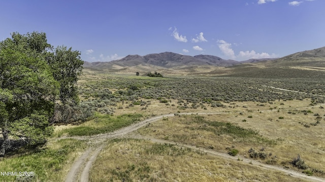 10-0149-02 Kluncy Canyon Rd, Winnemucca, NV 89445 - photo 11