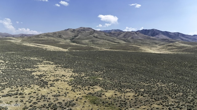 10-0149-02 Kluncy Canyon Rd, Winnemucca, NV 89445 - photo 12