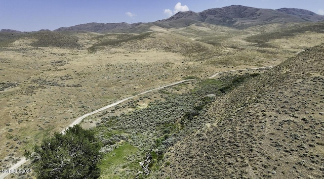 10-0149-02 Kluncy Canyon Rd, Winnemucca, NV 89445 - photo 13