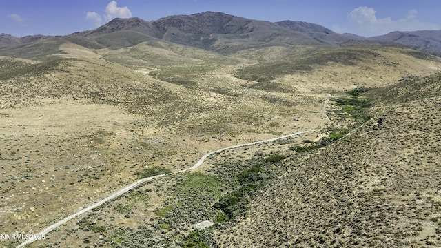 10-0149-02 Kluncy Canyon Rd, Winnemucca, NV 89445 - photo 14