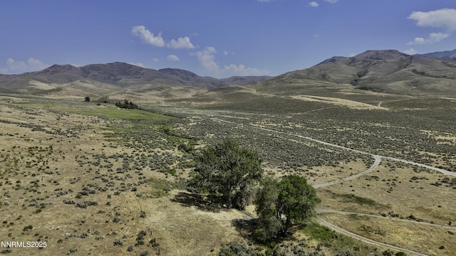 10-0149-02 Kluncy Canyon Rd, Winnemucca, NV 89445 - photo 16
