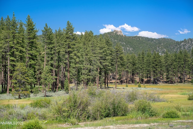 17 Beach Club Dr Unit 214, Stateline, NV 89449 - view of mountain background featuring a forest