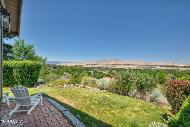 3495 W Plumb Ln, Reno, NV 89509 - photo 37