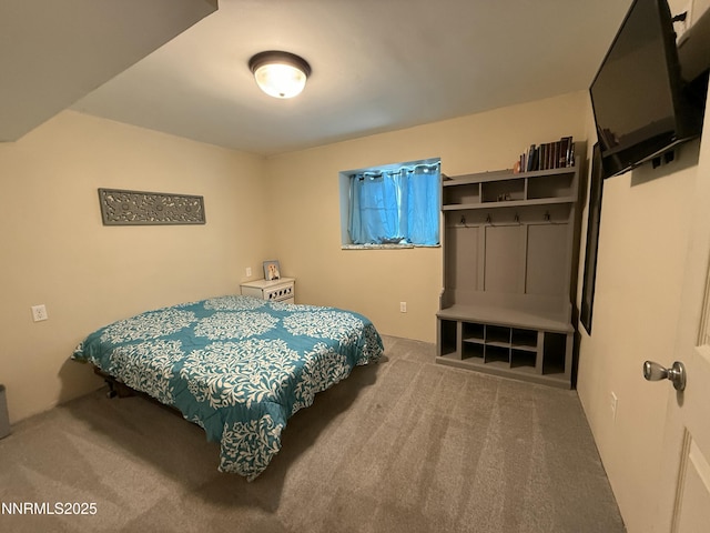 705 Harry Dr, Winnemucca, NV 89445 - photo 25