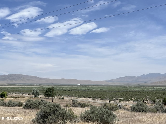 14670 Shannon Dr Unit 30, Golconda, NV 89414 - photo 2