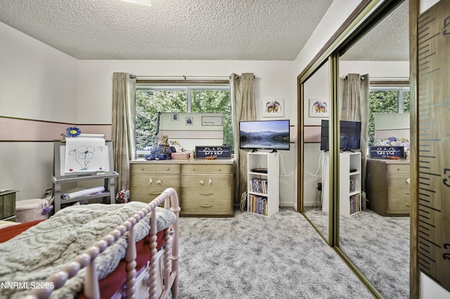 202 Summit Ave, Winnemucca, NV 89445 - carpeted bedroom with a closet and a textured ceiling