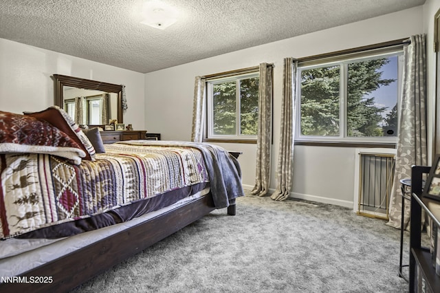 202 Summit Ave, Winnemucca, NV 89445 - bedroom featuring a textured ceiling and carpet flooring