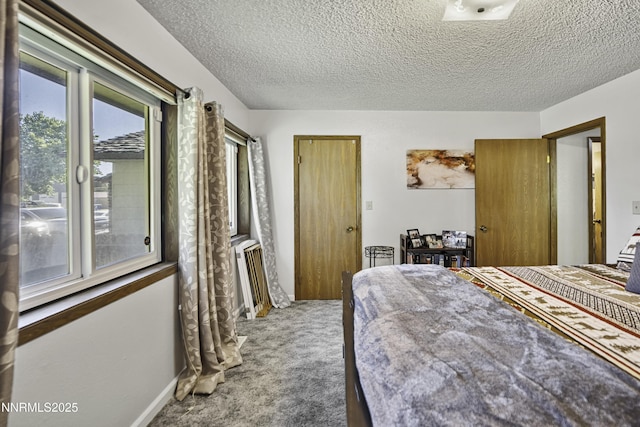 202 Summit Ave, Winnemucca, NV 89445 - carpeted bedroom with radiator and a textured ceiling