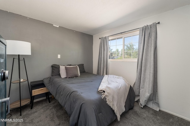 295 Palace Dr, Reno, NV 89506 - photo 12