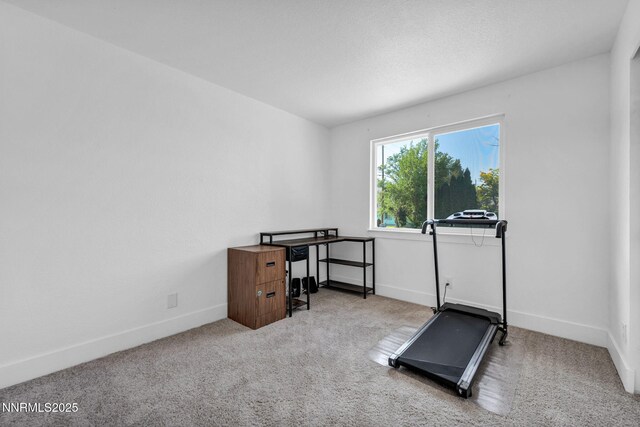 17265 Cold Springs Dr, Reno, NV 89508 - photo 28