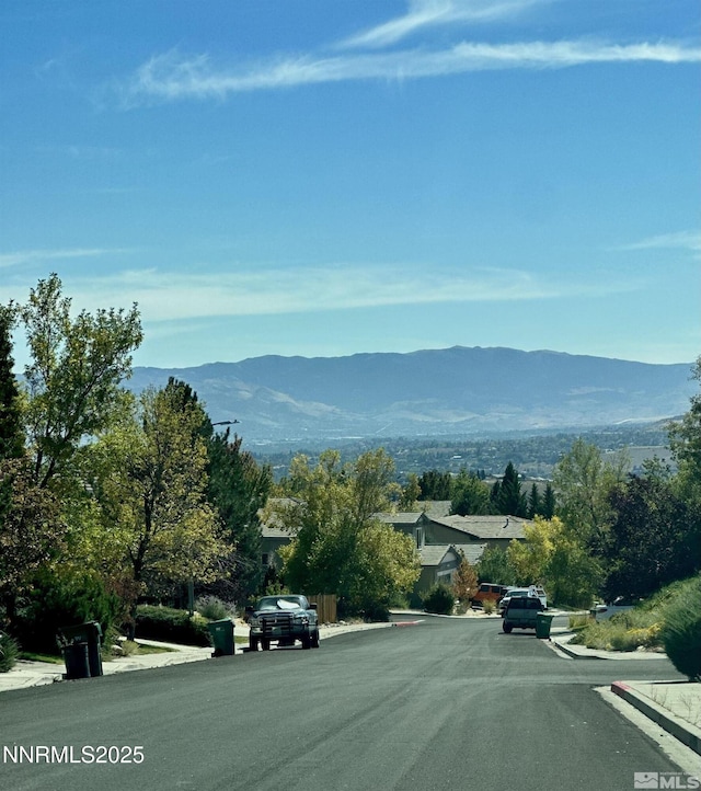 2605 Snow Partridge Dr, Reno, NV 89523 - photo 25