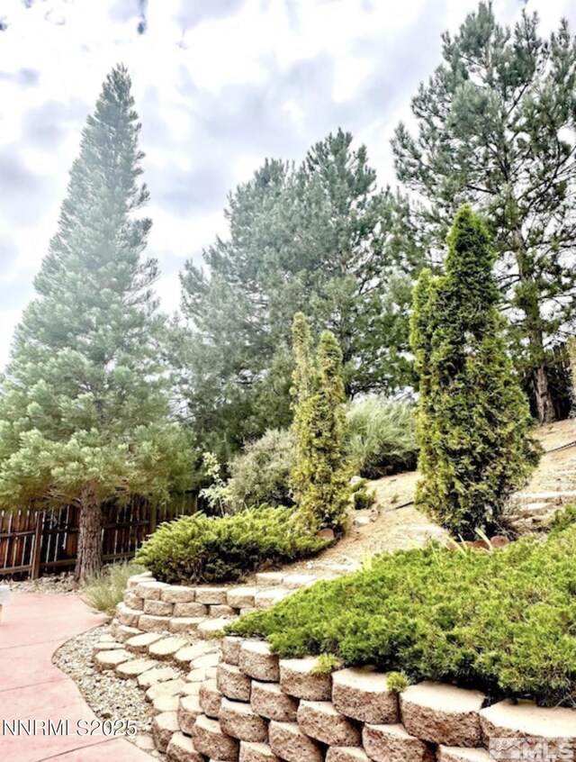 2605 Snow Partridge Dr, Reno, NV 89523 - photo 24