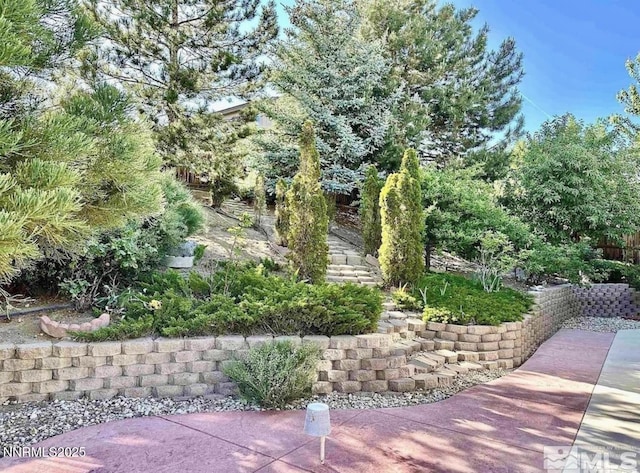 2605 Snow Partridge Dr, Reno, NV 89523 - photo 23
