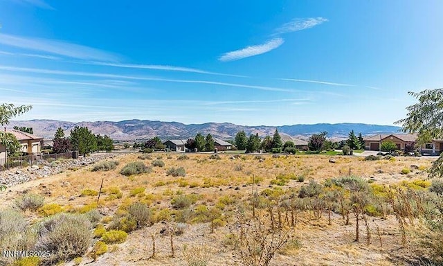 1210 Springer Ct, Reno, NV 89511 - photo 7