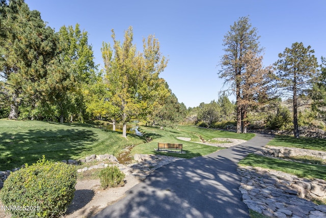 4705 Sommerville Way, Reno, NV 89519 - photo 46