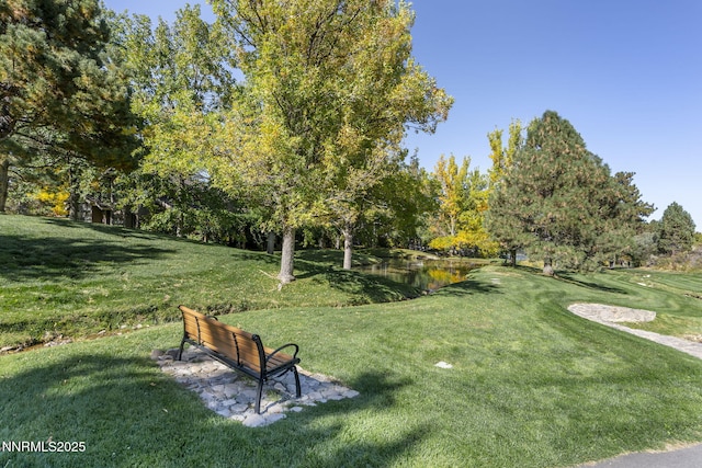4705 Sommerville Way, Reno, NV 89519 - photo 47