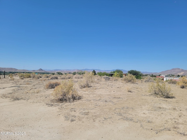 8935 Cougar Cir, Silver Springs, NV 89429 - photo 5