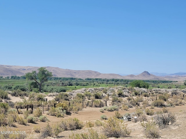 8935 Cougar Cir, Silver Springs, NV 89429 - photo 12