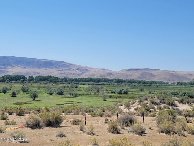 8935 Cougar Cir, Silver Springs, NV 89429 - photo 13