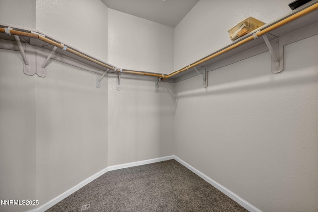 2281 Big Bird Dr, Spanish Springs, NV 89441 - photo 14