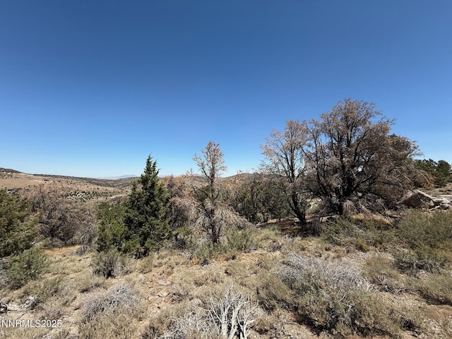 3960 Stovepipe Rd Unit 396, Reno, NV 89521 - photo 5