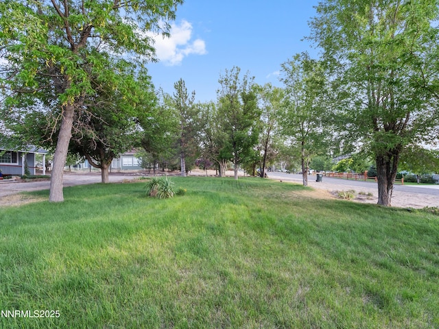 2655 Stewart Ave, Minden, NV 89423 - photo 52