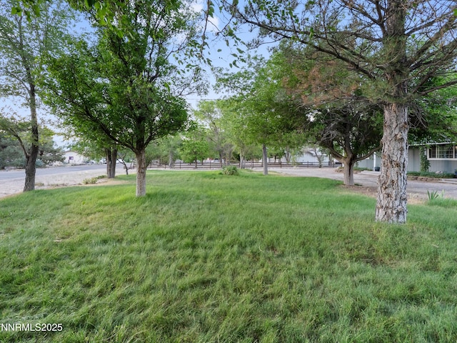 2655 Stewart Ave, Minden, NV 89423 - photo 58