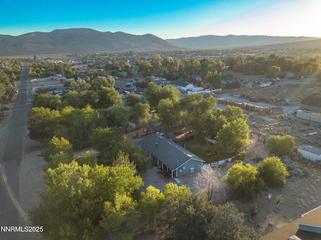 2655 Stewart Ave, Minden, NV 89423 - photo 87