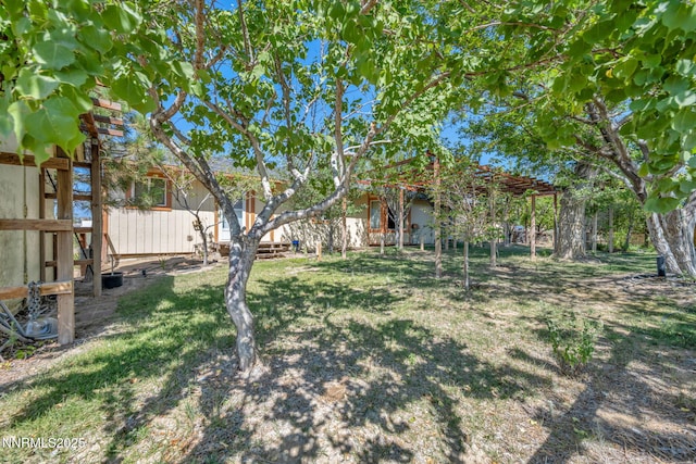 15 Audrey Dr, Carson City, NV 89706 - photo 44