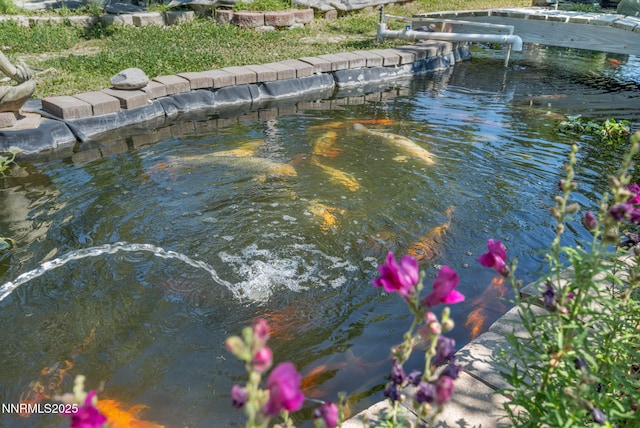 15 Audrey Dr, Carson City, NV 89706 - photo 58